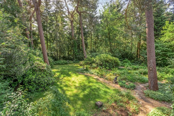 Medium property photo - Wolfhezerweg 120-76, 6874 AW Wolfheze